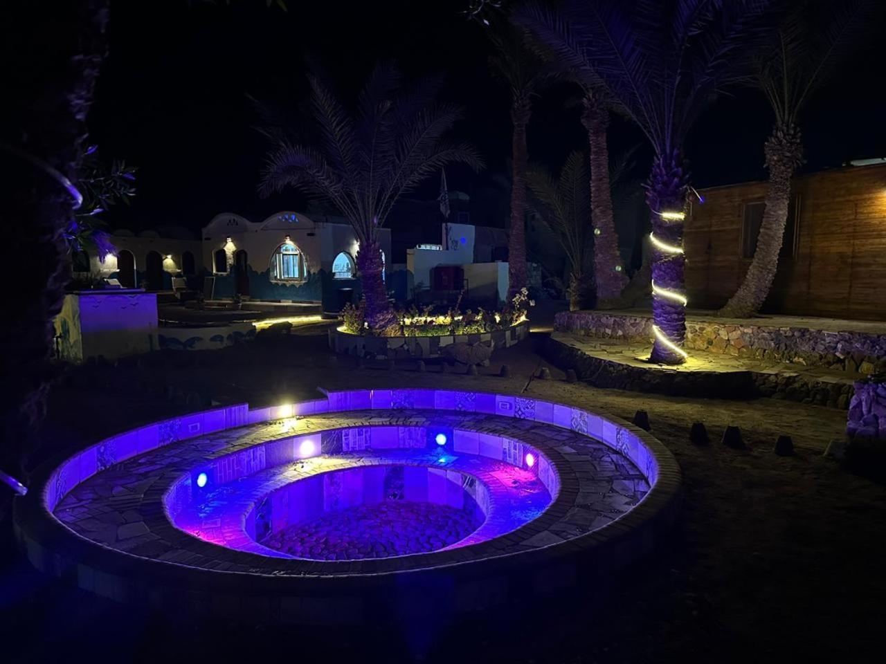 Dolphin Camp Hotel ดาฮับ ภายนอก รูปภาพ