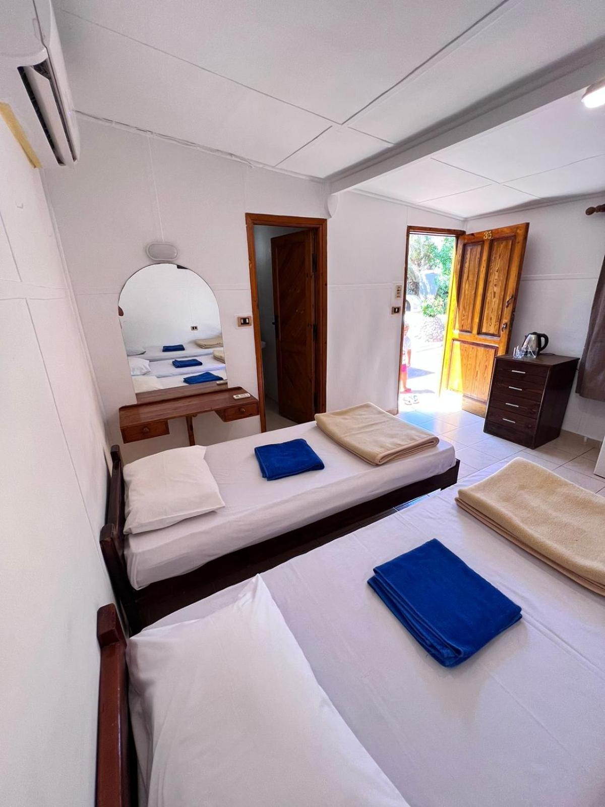 Dolphin Camp Hotel ดาฮับ ภายนอก รูปภาพ